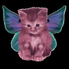 cynder1