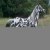 Fiorie