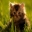 emmasup