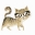 chats-cats
