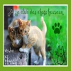 Le club des chats heureux!