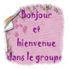 Les fans de bengals