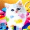 Une Vie De Chat